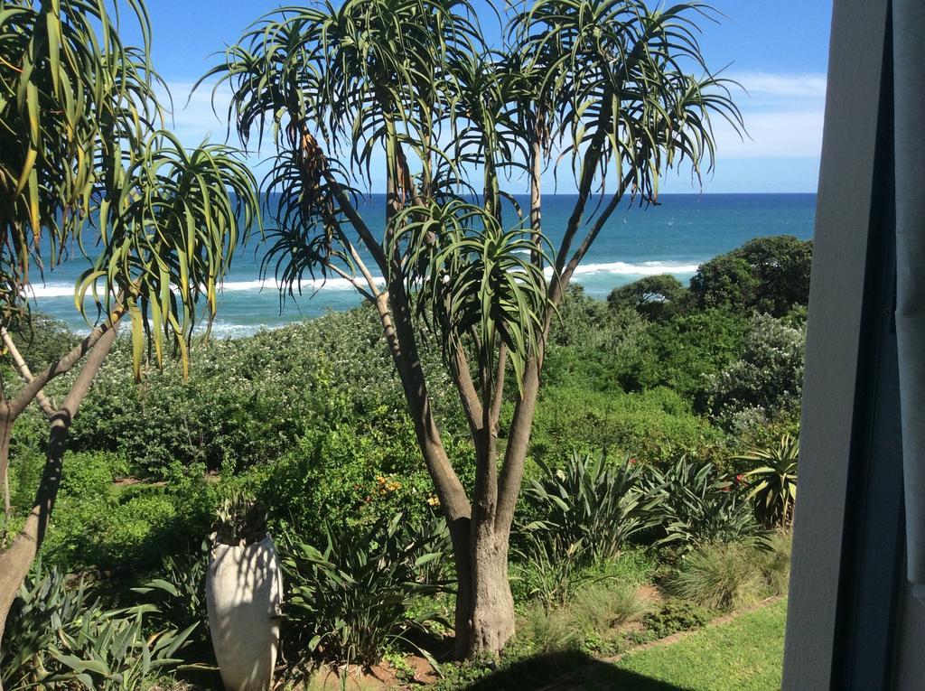 Misty Blue Bed And Breakfast Durban Rom bilde